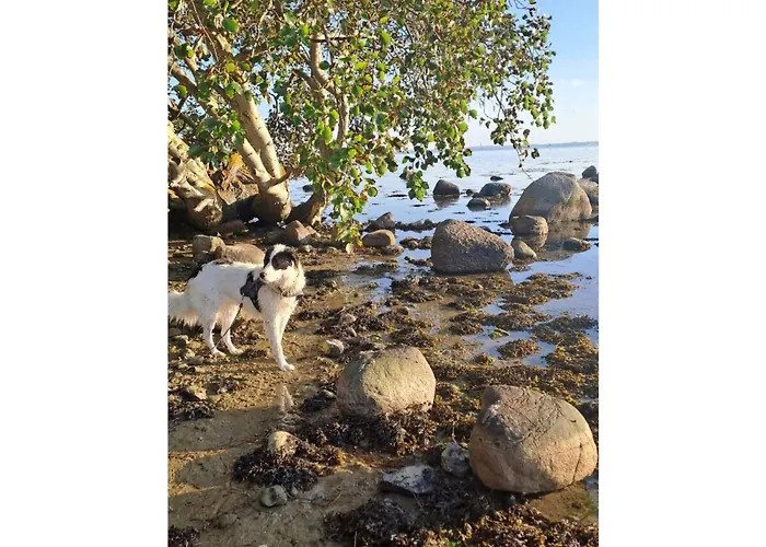 Nordlicht * 费马恩